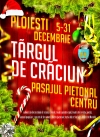 Craciun 2014 - Targul de Craciun - program 8 decembrie