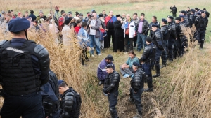 Greenpeace Romania acuza de violenta jandarmii din Ploiesti