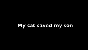 VIDEO INCREDIBIL - O pisica salveaza un copil de atacul unui caine