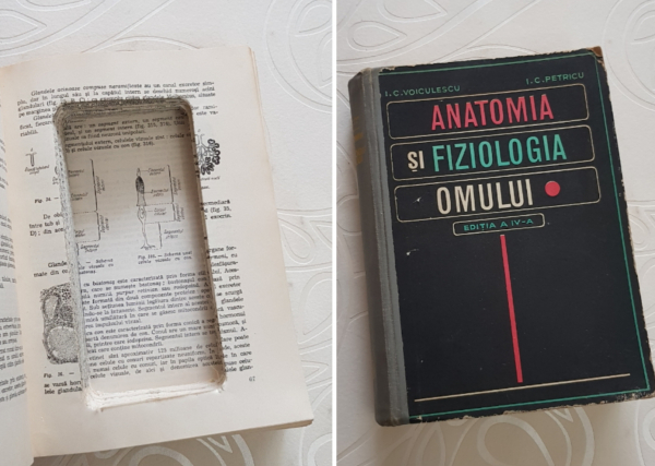 Un fel de seif, în formă de carte, ascunzătoarea perfectă pentru bunuri mici de valoare - StashBook