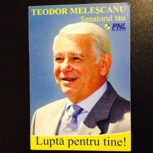 Teodor Melescanu - alegeri 2008