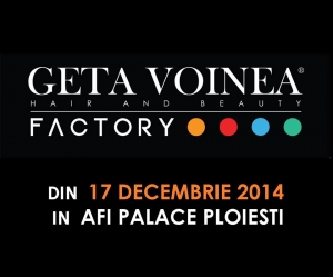 Geta Voinea Factory