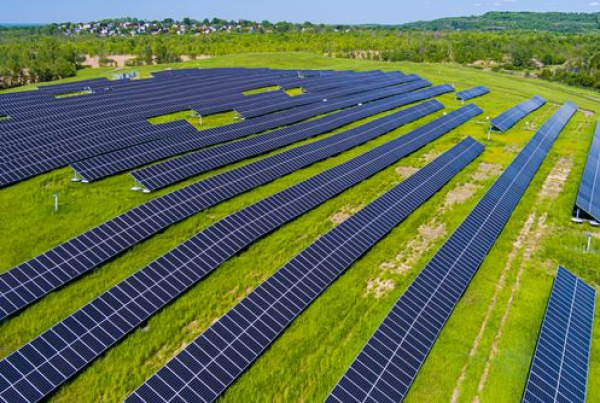 Fotovoltaice moca, de 6 mil. euro, la Ploiesti. Ghici cine plateste.