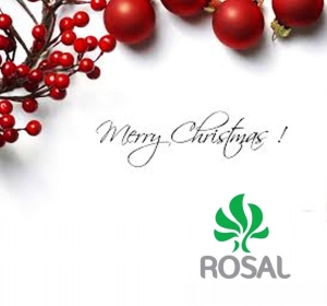Rosal Ploiesti va ureaza Sarbatori Fericite si un 2014 plin de succese!