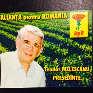 Teodor Melescanu - alegeri 2000