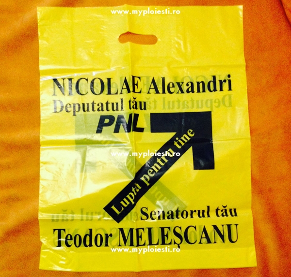 Teodor Melescanu - alegeri 2008