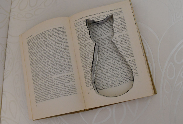 Ascunzatoare/seif tip carte - StashBook