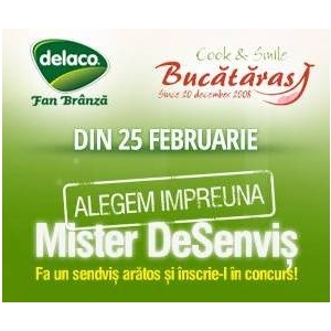 Din 25 Februarie, înscrie-te şi tu la Mister DeSenvis 2014!