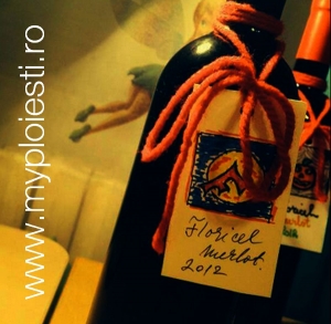 Vin de Garaj - Castiga o raritate de vin - Merlot de la CRAMA FLORICEL
