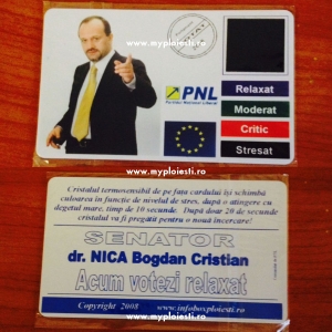 Bogdan Nica - alegeri 2008
