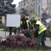 Se strang FLORILE din centrul Ploiestiului